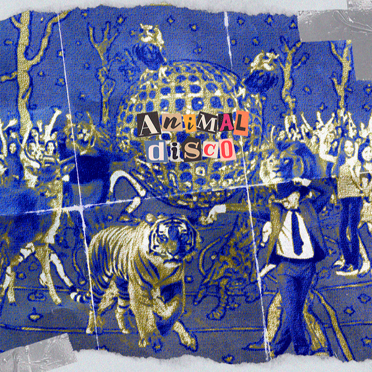 Escucha “Animal Disco”, lo nuevo de Hemisferio Darwin